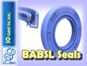 BABSL OIL Seals NBR